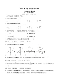 湖南省衡阳市2022-2023学年八年级下学期期中考试数学试卷(含答案)