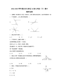 重庆市江津区12校2022-2023学年七年级下学期期中联考数学试卷(含解析)