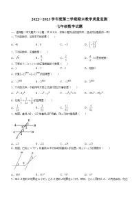 安徽省宣城市2022—2023学年七年级下学期期末数学试题（含答案）