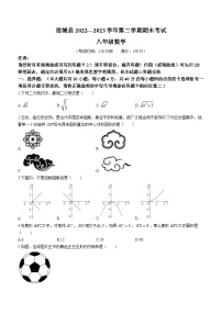 福建省龙岩市连城县2022-2023学年八年级下学期期末数学试题（含答案）