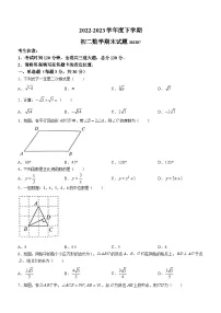 黑龙江省齐齐哈尔市龙沙区2022-2023学年八年级下学期期末数学试题(含答案)