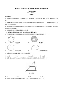 湖南省郴州市嘉禾县2022-2023学年八年级下学期7月期末数学试题（含答案）