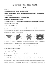 2023年内蒙古赤峰市中考数学真题