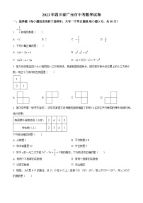 2023年四川省广元市中考真题数学试题