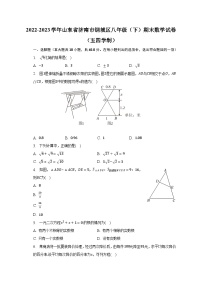 +山东省济南市钢城区2022-2023学年八年级下学期期末数学试卷（五四制）+