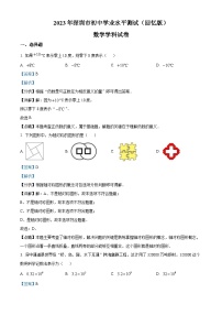 2023年广东省深圳市中考数学真题 （含解析）