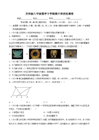 苏科版八年级数学下学期期中培优检测卷-八年级数学下册重难点专题提优训练（苏科版）