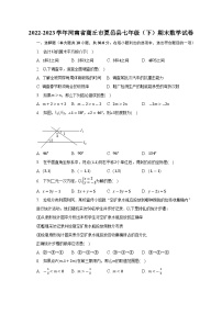 河南省商丘市夏邑县2022-2023学年七年级下学期期末考试数学试题（含答案）