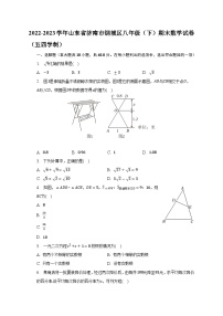 山东省济南市钢城区2022-2023学年八年级下学期期末数学试卷（五四制）（含答案）