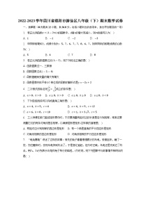 四川省绵阳市游仙区2022-2023学年八年级下学期期末考试数学试题（含答案）