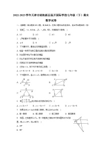 2022-2023学年天津市滨海新区经开国际学校七年级（下）期末数学试卷（含解析）