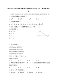 2022-2023学年新疆乌鲁木齐市新市区八年级(下)期末数学试卷(含解析)