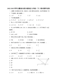 2022-2023学年安徽省合肥市瑶海区七年级(下)期末数学试卷(含解析)