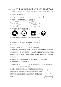 2022-2023学年福建省泉州市永春县七年级（下）期末数学试卷（含解析）