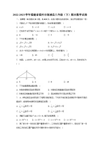 2022-2023学年福建省福州市闽清县八年级（下）期末数学试卷