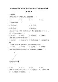 辽宁省盘锦市双台子区2021-2022学年八年级下学期期末考试数学试卷(含解析)