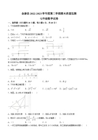 安徽省六安市金寨县2022-2023学年七年级下学期6月期末数学试题(含答案)