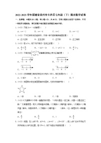 福建省泉州市丰泽区2022-2023学年下学期七年级期末数学试卷(含答案)