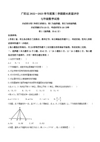 河北省廊坊市广阳区2022-2023学年七年级下学期期末数学试题（含答案）