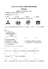 湖北省黄冈市红安县2022-2023学年七年级下学期期末数学试题（含答案）