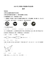 湖南省常德市鼎城区2022-2023学年七年级下学期期末数学试题（含答案）