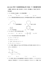 广东省深圳市南山区2022-2023学年八年级下学期期末数学试卷（含答案）