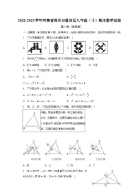 河南省郑州市惠济区2022-2023学年八年级下学期期末数学试卷（含答案）