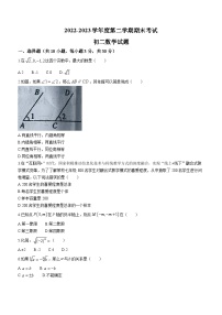 黑龙江省绥化市望奎县2022-2023学年八年级下学期期末数学试题（五四制）（含答案）