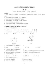 2022-2023-2长郡七下期末考试数学试卷