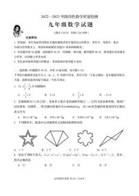 2023年山东省青岛市高新区中考数学三模试题