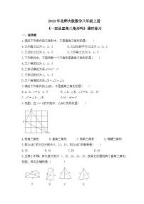 初中数学北师大版八年级上册2 一定是直角三角形吗综合训练题