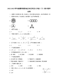 2022-2023学年新疆阿勒泰地区哈巴河县七年级（下）期中数学试卷