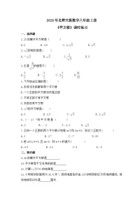 北师大版八年级上册第二章 实数2 平方根课时练习