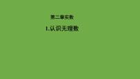 初中数学北师大版八年级上册1 认识无理数教学课件ppt