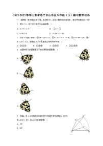 2022-2023学年山东省枣庄市山亭区八年级（下）期中数学试卷（含解析）