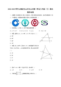 2022-2023学年云南省文山州文山市第二学区八年级（下）期末数学试卷（含解析）