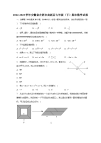 2022-2023学年安徽省合肥市高新区七年级（下）期末数学试卷（含解析）