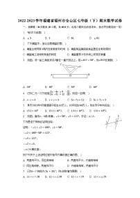 2022-2023学年福建省福州市仓山区七年级（下）期末数学试卷（含解析）