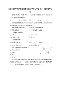 2022-2023学年广东省东莞市东华学校七年级（下）期中数学试卷（含解析）