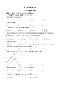 七年级下学期期末数学试题