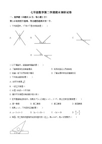 七年级下学期期末数学试题