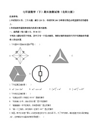 七年级下学期期末数学试题