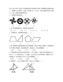 广州市越秀区育才实验学校2020-2021八年级上学期期中数学试卷