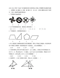 广州市越秀区育才实验学校2020-2021八年级上学期期中数学试卷