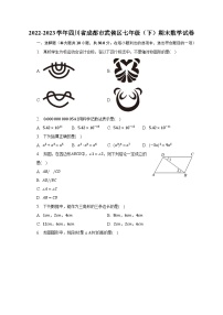 2022-2023学年四川省成都市武侯区七年级（下）期末数学试卷（含解析）