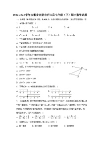 2022-2023学年安徽省合肥市庐江县七年级（下）期末数学试卷（含解析）