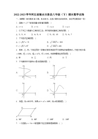 2022-2023学年河北省衡水市景县八年级（下）期末数学试卷（含解析）