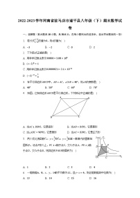 2022-2023学年河南省驻马店市遂平县八年级（下）期末数学试卷（含解析）