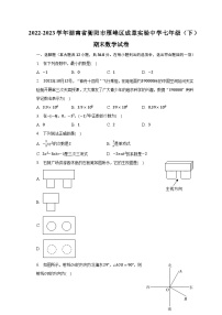 2022-2023学年湖南省衡阳市雁峰区成章实验中学七年级（下）期末数学试卷（含解析）