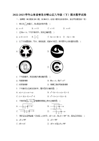 2022-2023学年山东省青岛市崂山区八年级（下）期末数学试卷（含解析）